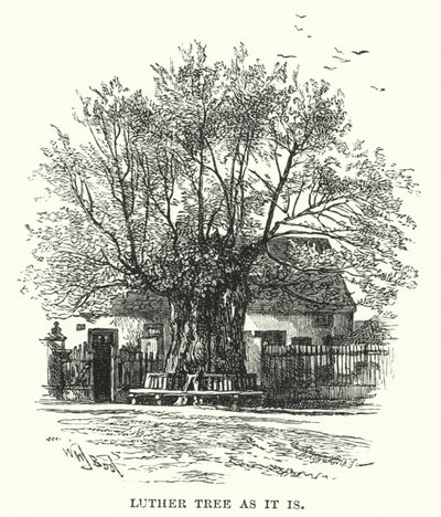 Luther Tree as it is by William Henry James after Boot